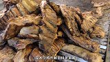 中国人那么喜欢吃肉，那为啥从不吃马肉呢？真实原因让人意外！