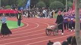 这回建筑专业赢了，这是提前步入社会啊
