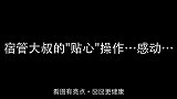 狗子可以有多精致哇塞人家还有陪睡！