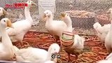 搞笑视频：这孩子气质独特 将来肯定是个半挂司机