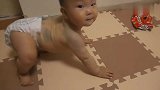 小宝宝地上爬，这背上胎记也太多了吧，你妈怀你时都吃了些啥呀！