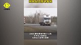 忠犬八公！俄罗斯主人出车祸身亡，狗狗原地痴等11年