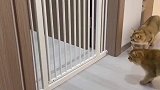我也没眨眼啊，怎么过去的！