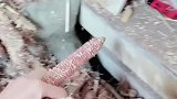 女子才回来几天大妈已经这样了，不管干啥都看不顺眼了