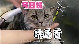 保持对生活的爱与热忱，每天都活得热气腾腾