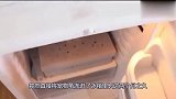 主人逼宠物乌龟冬眠，把它放进冰箱，俩月后奇迹存活