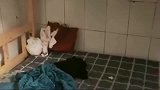 宿舍里的后小妹，和男工友吃完饭，就出去同居了！