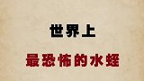 喜欢游泳的可要注意了！