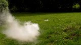 男子在清理自家后院时，发现奇怪的洞穴，出来的东西让它脸色大变