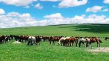 新疆美丽的大草原，我的家。有友友建议说把视频放慢一点
