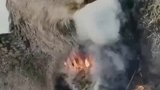 狍子不听主人阻拦执意烤火