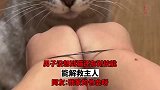 男子没想到猫还有新技能，能解救主人