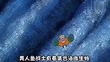 《海绵宝宝》美人鱼战士多年来的秘密！他其实才是真正的大反派