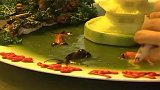 满汉全席之2001版烹饪海参擂台赛，8种做法，你觉得他们谁会