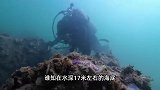 3小时赚3500元！山东青岛海螺大爆发