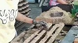一顿操作猛如虎