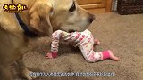 妈妈好奇宝宝和狗狗在角落里玩什么，靠近一看，瞬间笑喷了