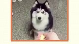 是我看不见还是我看不见
