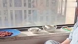爷爷家住了一个月，宝宝回来后成了这样，感觉人生达到了巅峰！