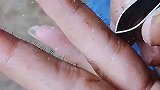 给手指拔毛，这方法我看悬