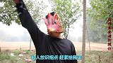 奥特曼真人版：超人被怪兽眩晕技击倒，迪迦及时赶来，怪兽惨了