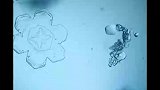 显微镜下的雪花世界，像蝴蝶小花和星芒，看着真的好美好