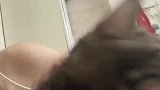 猫咪被女生亲亲后满脸震惊，猫完了我不干净了