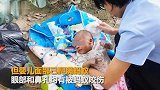 【广东】满月婴儿被弃杂草丛中 被警方救起时面部爬满蚂蚁