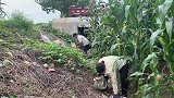妞妞和老爸去捡破烂，老爸还不忘劝她回去，妞妞舍不得生病的老爸