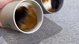 这咖啡倒不出来啊