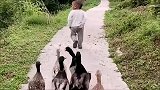 这背手动作，从小就有村支书气场
