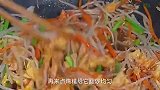 如果没胃口吃饭，那就来道豆芽炒蛋，清脆爽口好吃又下饭