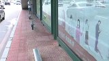 公交站候车凳突然变矮，乘客“蹲”着等车