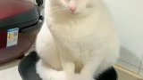 走到厨房吓一跳，孩子，咱家还没到这种地步！