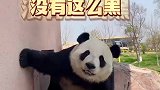 想当年动物园里的墙还没有这么黑，直到遇到了个粉刷匠