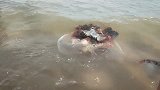 海上漂过来什么东西，快来看看。这种海洋生物能不能吃啊？