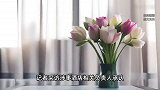 万豪酒店承认拖鞋循环多次使用，卫监所介入调查