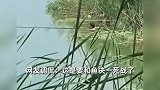 硬核降温！男子钓鱼下水降温仅露头部，惊呆其他钓鱼佬：他太勇了