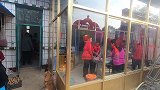 丹东农村婚宴，女厨师做菜手法特别，鸡蛋清炒鸡蛋黄你见过吗