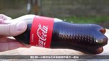 牛人将薄荷糖放到可乐瓶口倒置，那一瞬间真可怕，你敢试试吗