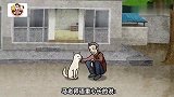 狗狗被遗弃在山上，苦等主人100多天，最后被好心人救助。