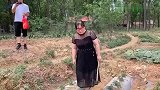地里为什么要竖根杆子