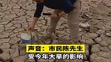 洞庭湖水位下降，市民们自发前往打捞湖面垃圾