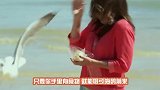 男子手机被海鸥叼走，开着的摄像头，无意拍下珍贵画面