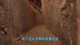 牛人徒手打造一座地宫泳池，奢华的两室一厅，简直不要太巴适！