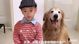 妈妈不在家时，小孩照顾金毛的日常生活，金毛拥抱小孩，表示感谢