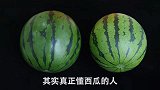 西瓜甜不甜，看这里就知道了，学会这个小技巧，西瓜一挑一个准