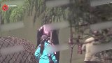 赵丽颖穿羽绒服开工，新剧造型再曝光，粉衣高马尾却难掩疲态