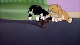 猫和老鼠：猫咪突然变可爱了，汤姆放松警惕，结果还是悲剧了