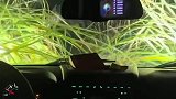 男子深夜驾车开导航，被导航指引到一片草丛中